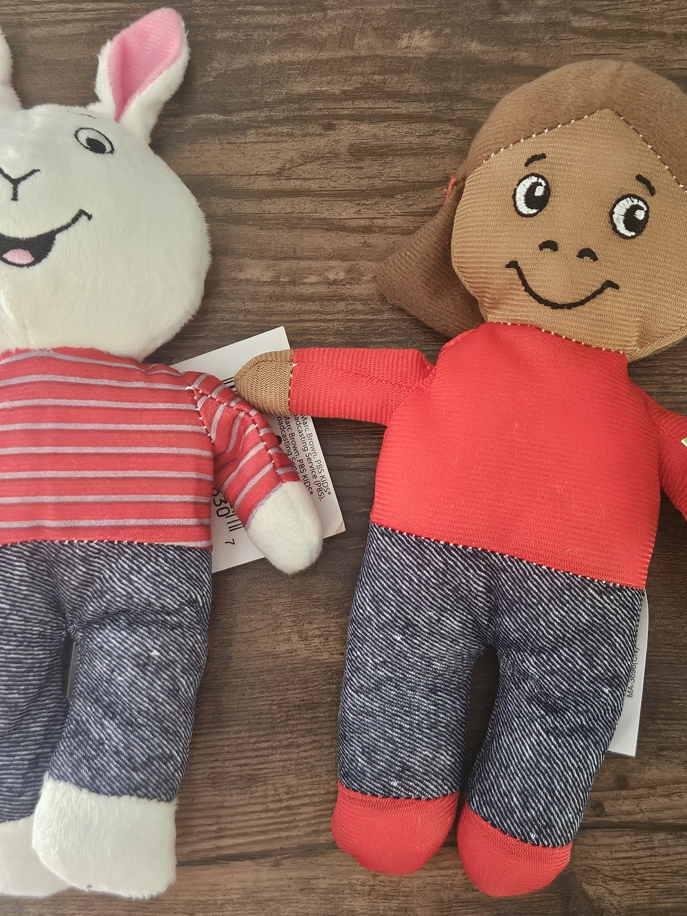 PBS Kids Francine And Buster